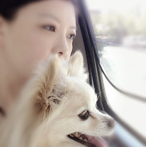 Meet your Posher, Nancy